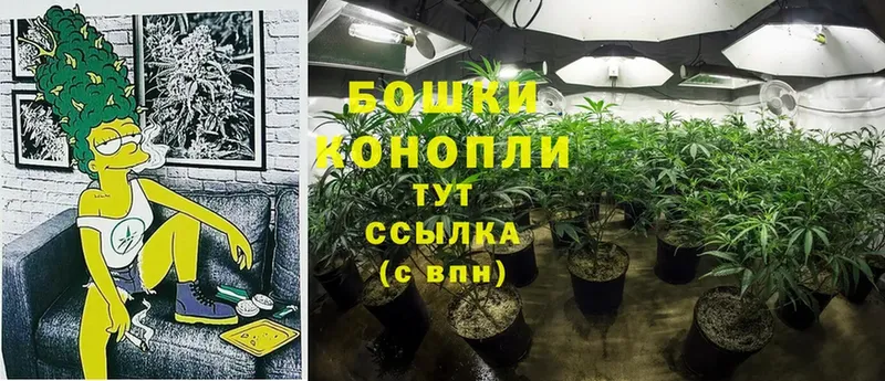 Конопля OG Kush  маркетплейс формула  Дегтярск 